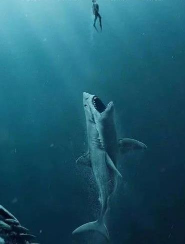 电影巨齿鲨在哪里拍的摄影 好看吗怎么回复