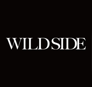 Wild Side歌词谐音 ALI日语