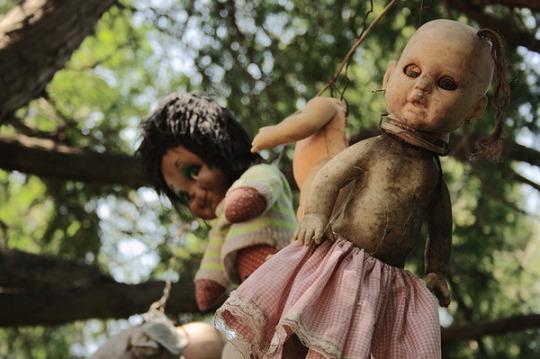 娃娃岛的娃娃是活的吗还是死的 娃娃岛的娃娃能不能带走呢