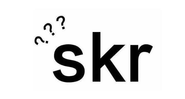 skr是个什么梗，skr是什么意思什么梗