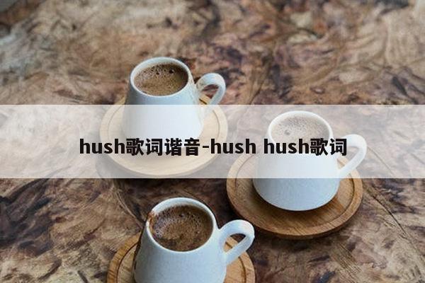 hush歌词谐音-hush hush歌词