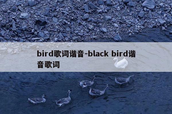 bird歌词谐音-black bird谐音歌词