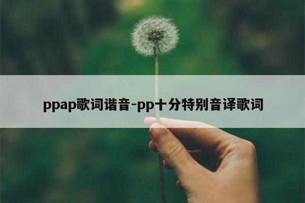 ppap歌词谐音-pp十分特别音译歌词