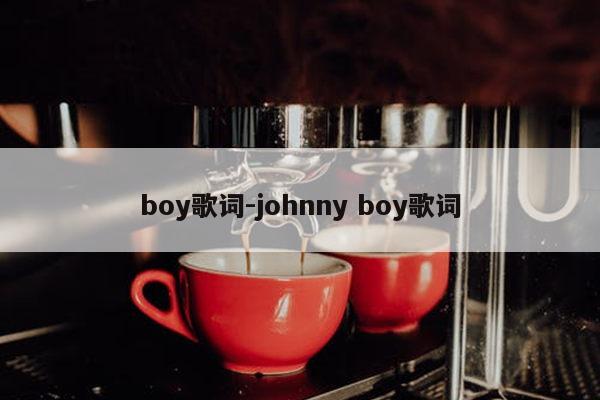 boy歌词-johnny boy歌词