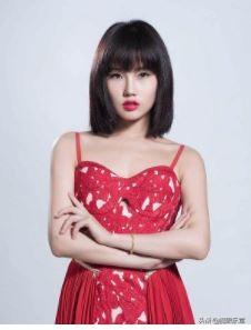 歌手江南个人资料-半红不紫的上海流行歌手