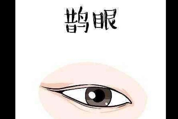 二十种眼形大全图解男，刘亦菲的眼睛是最漂亮的丹凤眼
