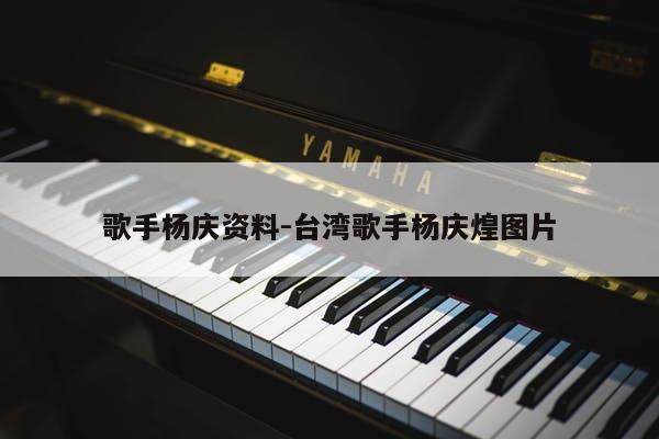 歌手杨庆资料-台湾歌手杨庆煌图片