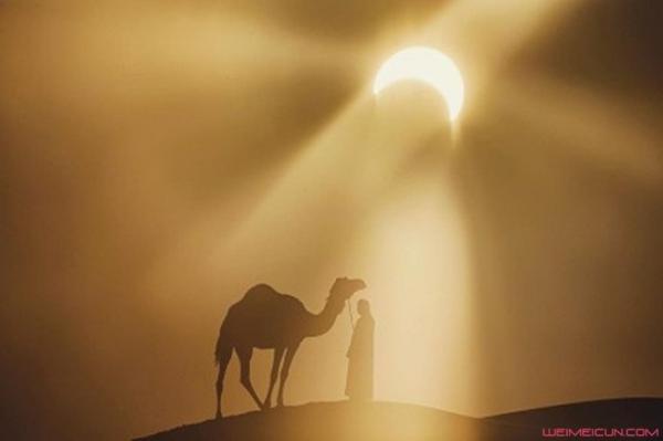 骆驼背上的太阳图片 自然与人文的完美结合作文