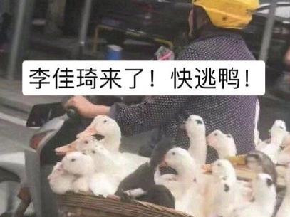 duck是什么意思中文 哪位网友这么优秀啊