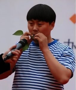 农民歌手刘大成个人资料