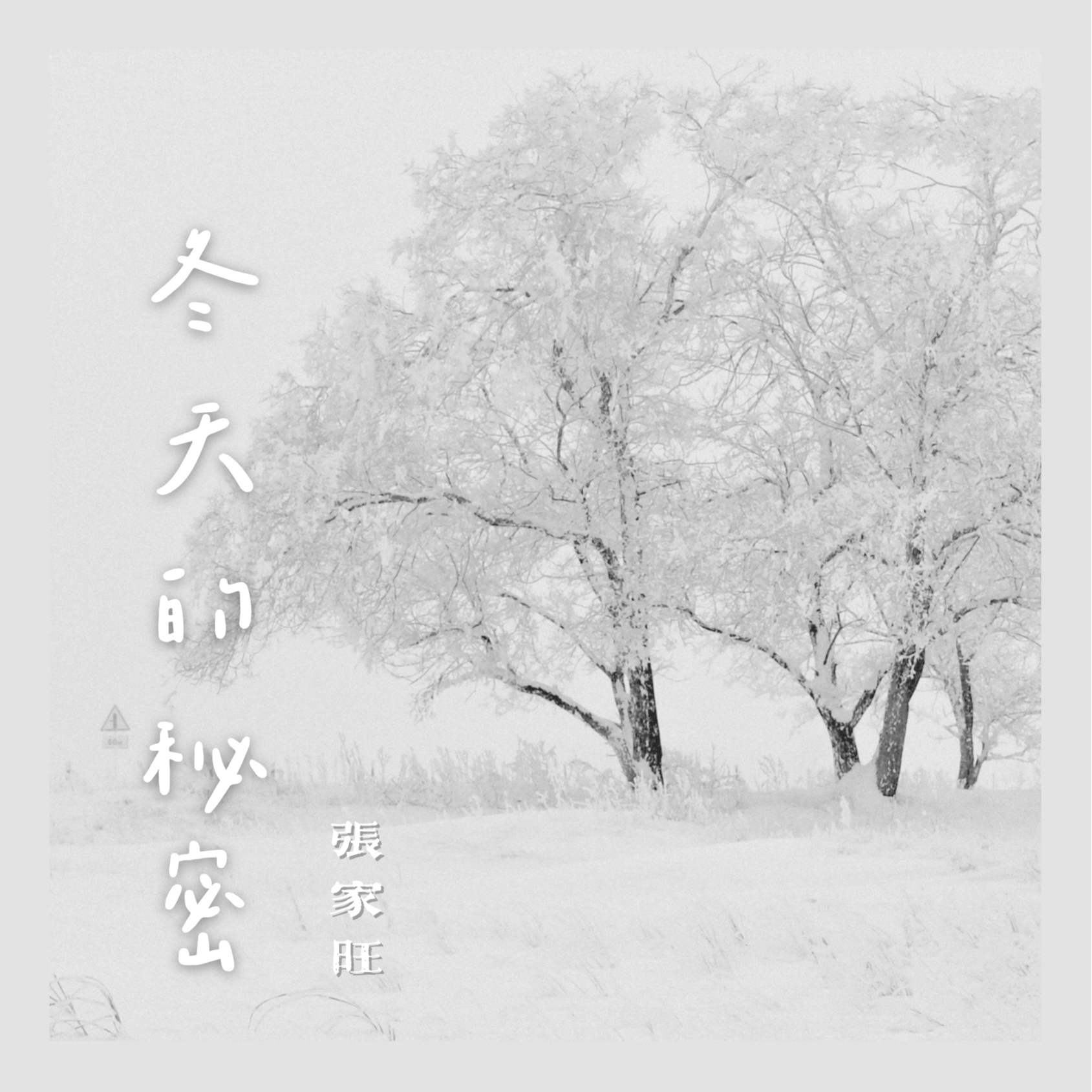 张家旺《冬天的秘密》[FLAC/MP3-320K]