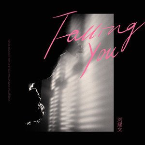 刘耀文《Falling You》[FLAC/MP3-320K]