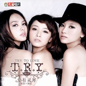 T.R.Y《手心手背》[FLAC/MP3-320K]