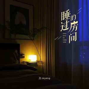 王zeyang《睡过的房间》[FLAC/MP3-320K]