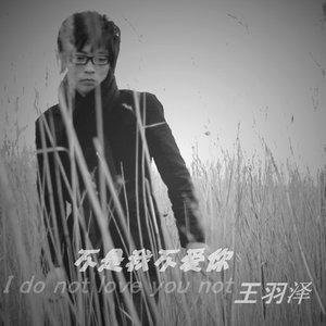 王羽泽《不是我不爱你》[FLAC/MP3-320K]