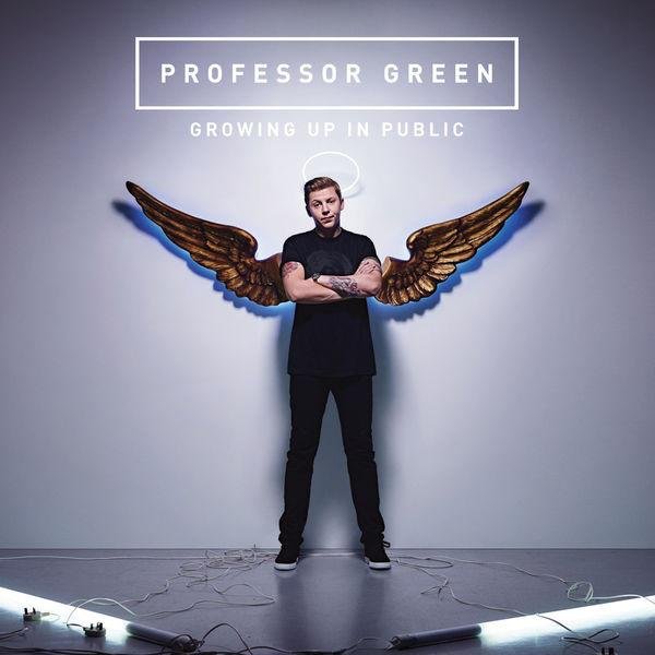 Professor Green《In The Shadow Of The Sun》[FLAC/MP3-320K]
