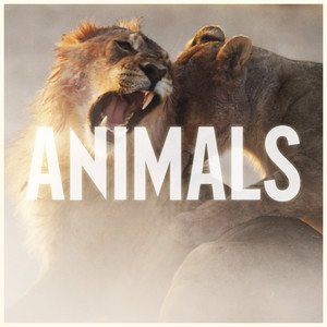 Maroon 5《Animals》[FLAC/MP3-320K]