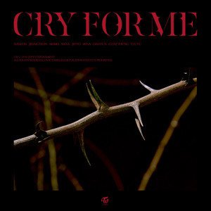 TWICE《CRY FOR ME》[FLAC/MP3-320K]