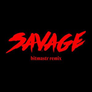 Bahari《Savage (bitmastr remix)》[MP3-320K6.8M]