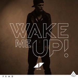 Avicii《Wake Me Up》[FLAC/MP3-320K]