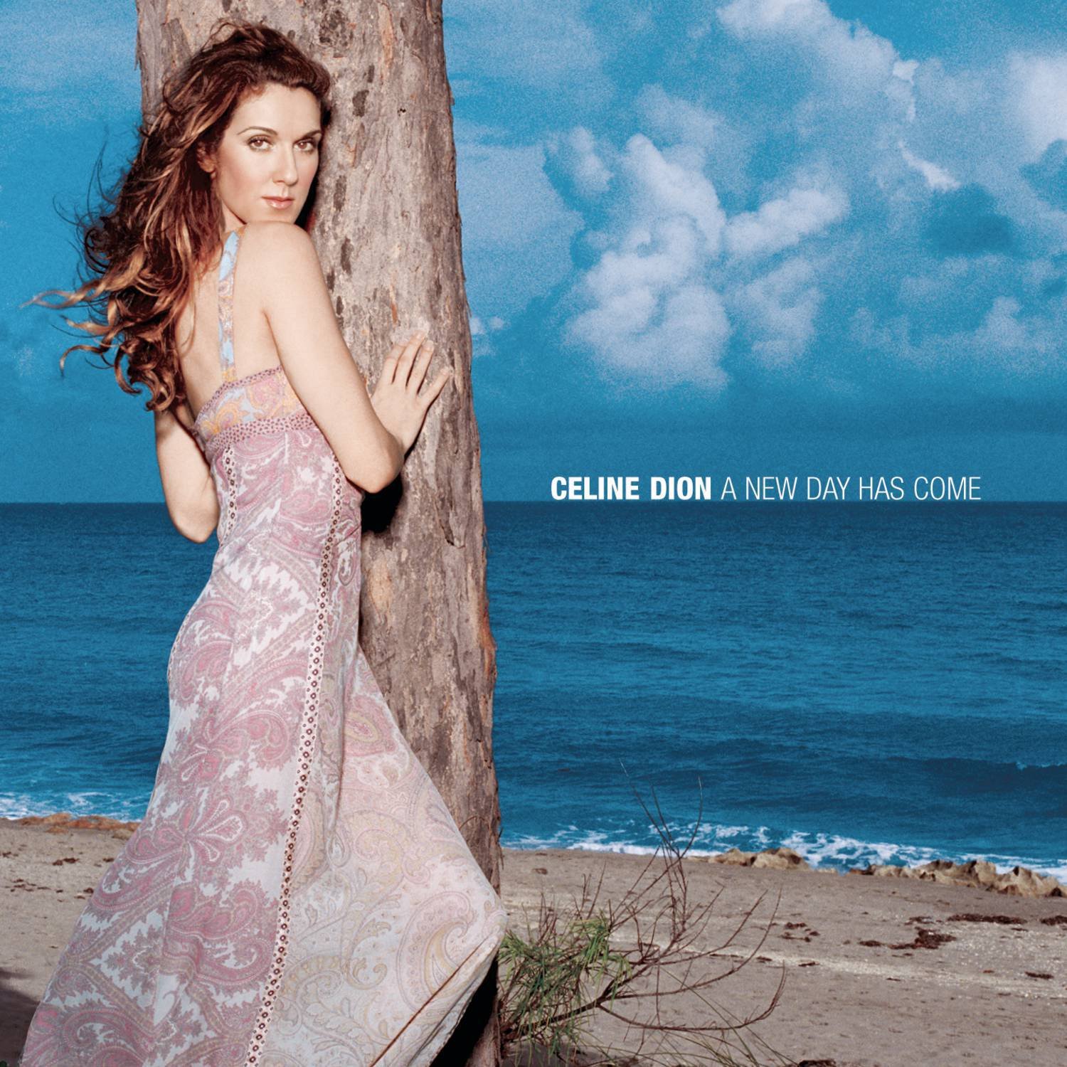 Céline Dion《A New Day Has Come》[FLAC/MP3-320K]