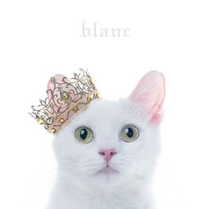 Aimer《March of Time》[FLAC/MP3-320K]