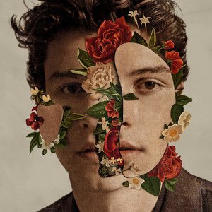 Shawn Mendes《Fallin\’ All In You》[FLAC/MP3-320K]