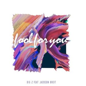 Big Z《Fool For You》[MP3-320K/8.3M]