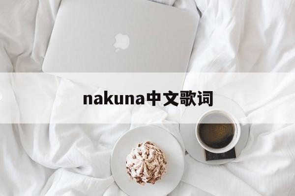 nakuna中文歌词(nakuna的歌词的意思)
