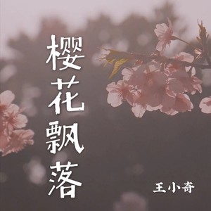 除了樱花还有爱情中文歌词(除了樱花还有爱情中文歌词是什么)