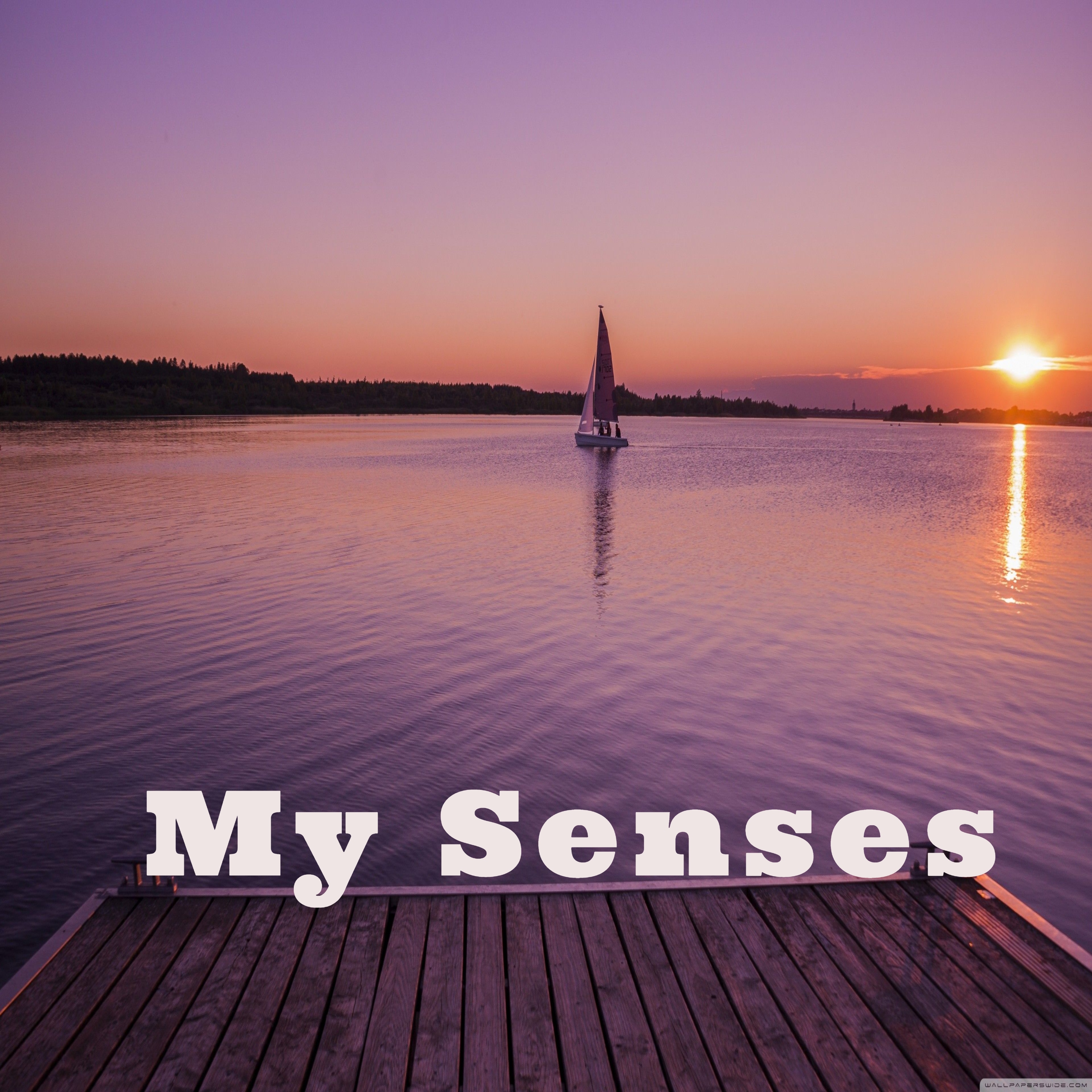 senses中文歌词(sensitive歌词)