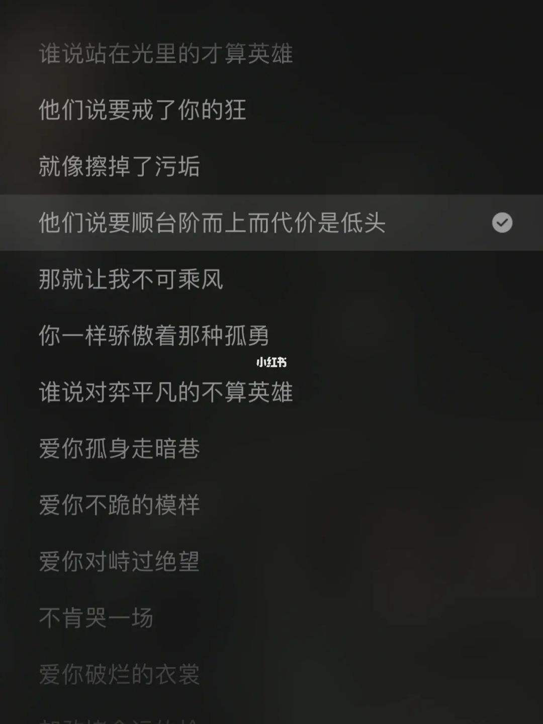包含孤勇者中文歌词电子版的词条