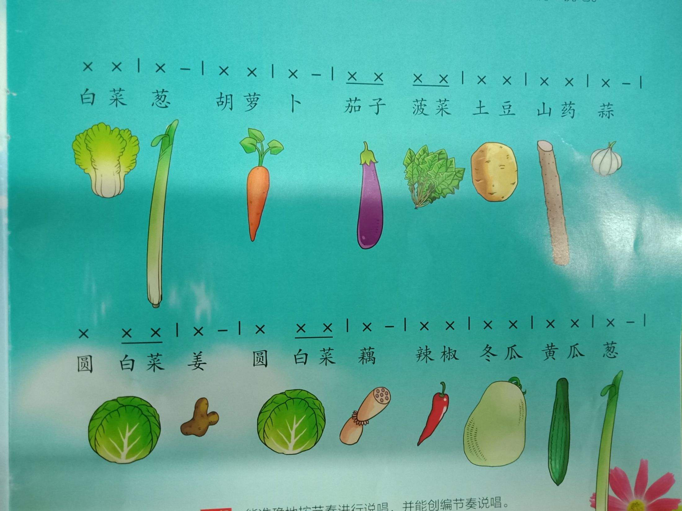 日语蔬菜之歌歌词谐音中文(日语蔬菜之歌歌词谐音中文翻译)